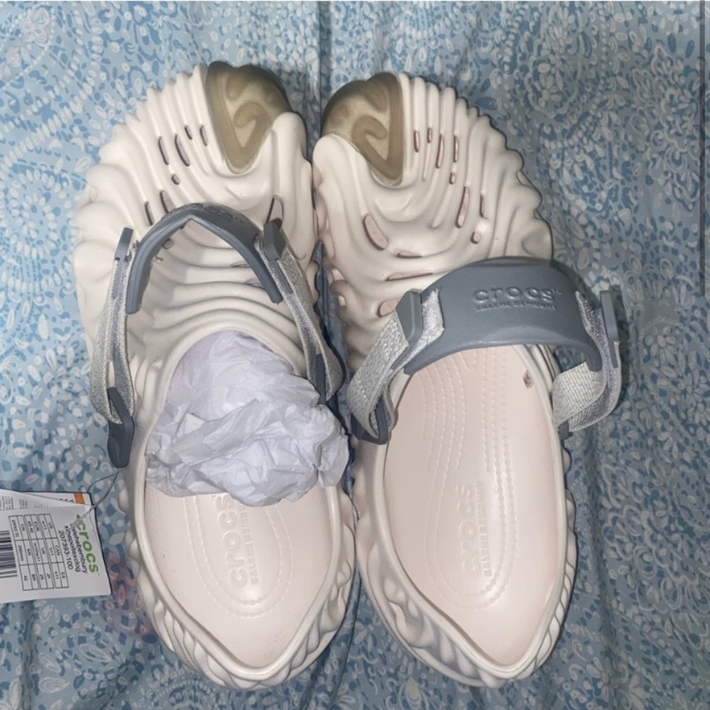 Dembury crocs pollex
